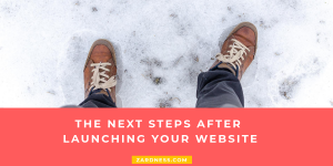 the next steps after launching your website
